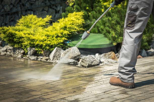 Best Roof Washing  in Crockett, CA